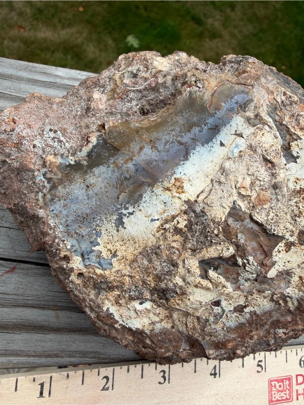 Large Natural Agate & Chalcedony Display Specimen | Wood Stand